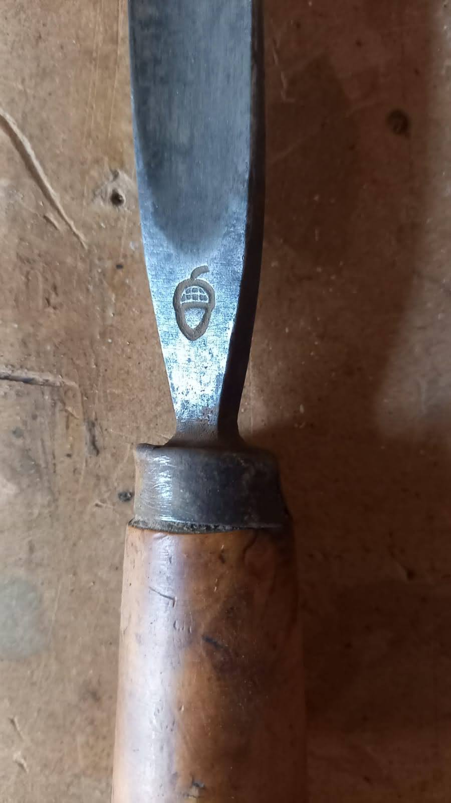 Scalpello con ghianda