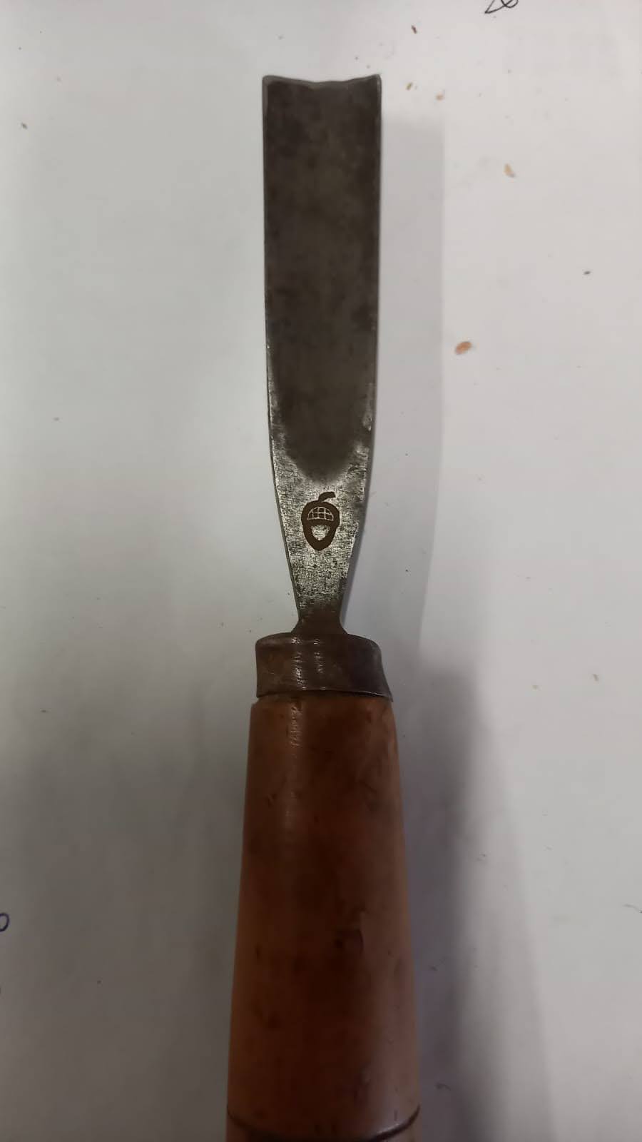 Scalpello ghianda vista completa